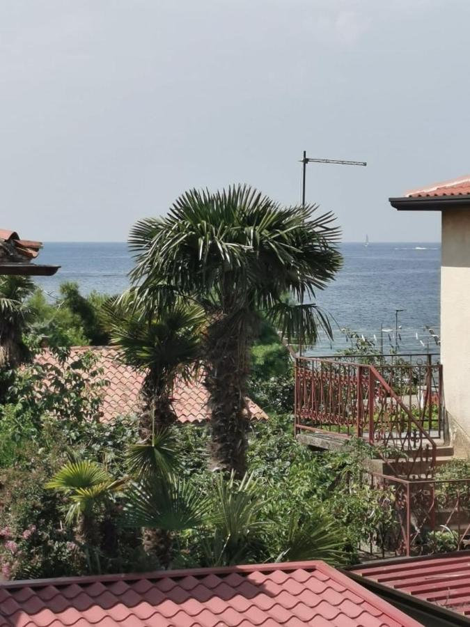 App Palcic K Apartment Novigrad  Ngoại thất bức ảnh
