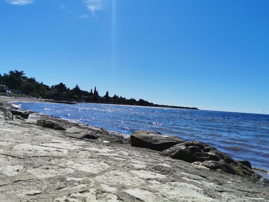 App Palcic K Apartment Novigrad  Ngoại thất bức ảnh