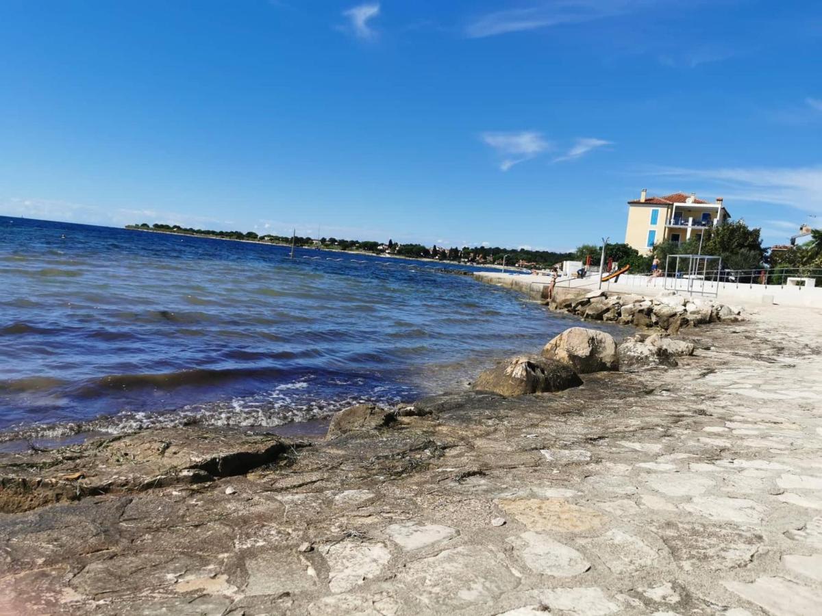App Palcic K Apartment Novigrad  Ngoại thất bức ảnh